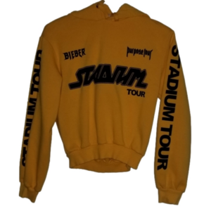 Divided Justin Bieber Stadium Tour Purpose Tour Cropped Hoodie Size S